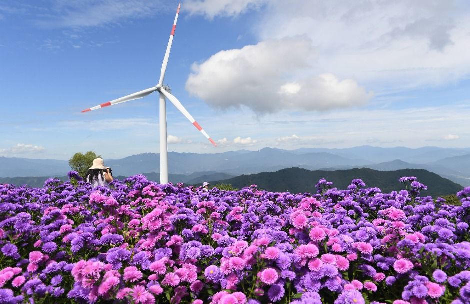 거창 감악산 꽃별 여행, 9월 18일부터 10월 11일까지 별바람언덕에서 개최