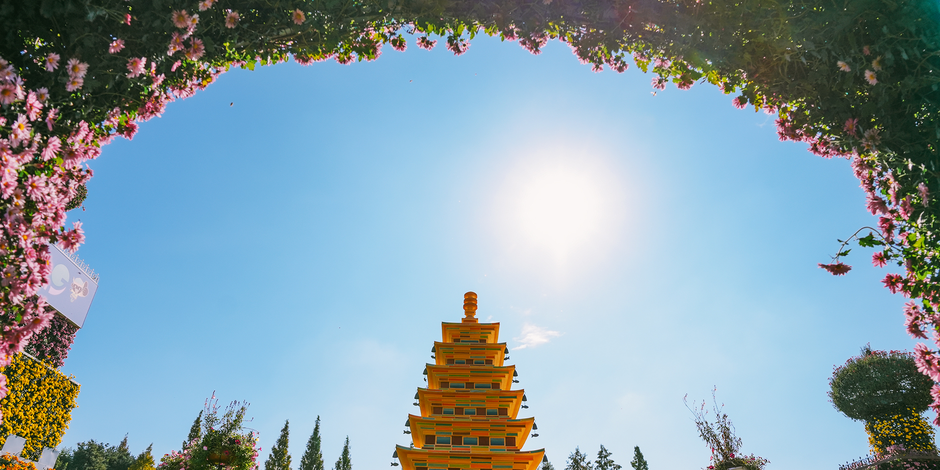 2026 익산 천만송이 국화축제, 중앙체육공원서 열흘간 무료 운영
