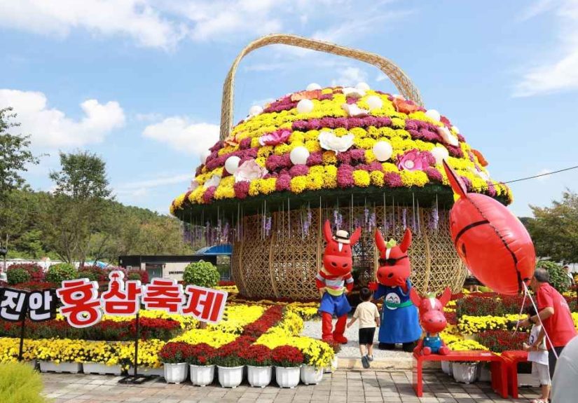 2026 진안홍삼축제, 마이산 북부서 18일부터 3일간 개최