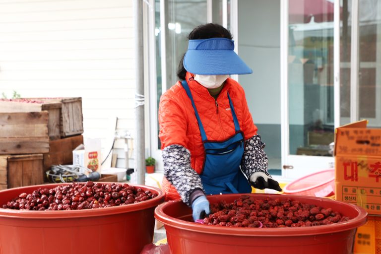 2026 연산대추문화축제, 10월 9일부터 논산 연산역 일원에서 개최