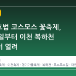 제4회 호법 코스모스 꽃축제, 10월 3일부터 이천 복하천 일원에서 열려