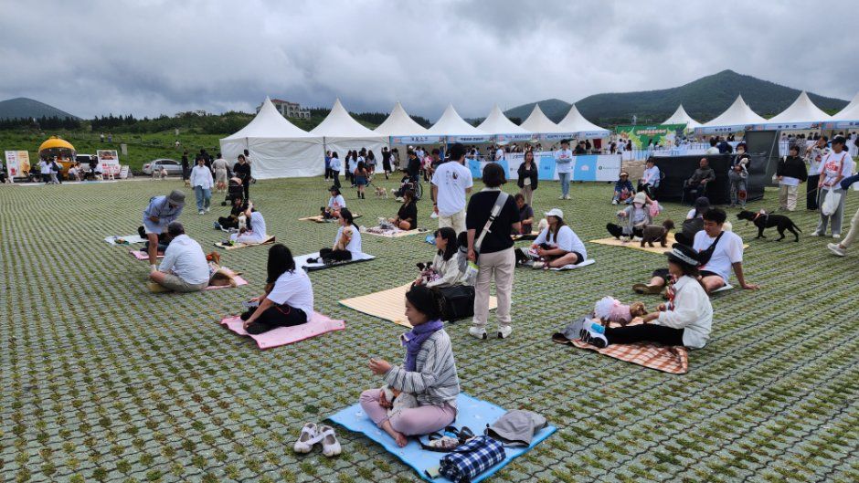 2026 제주 반려동물 문화산업 한마당, 한라체육관 일대에서 11월 6일부터 사흘간 개최