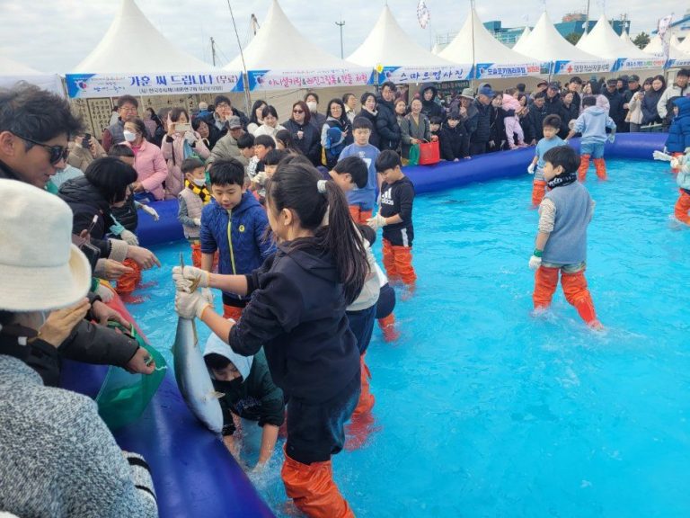 제26회 최남단방어축제, 11월 19일부터 모슬포항에서 방어 맨손잡기 체험 진행