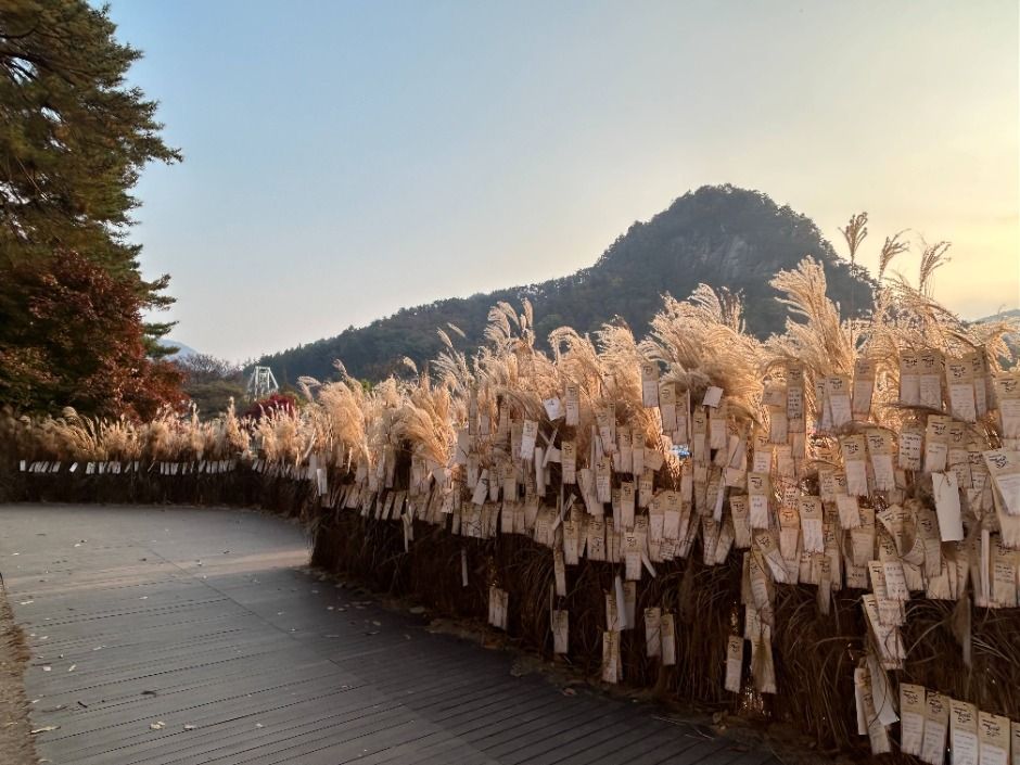 2026년 포천 산정호수 명성산 억새꽃축제, 10월 16일부터 3일간 개최