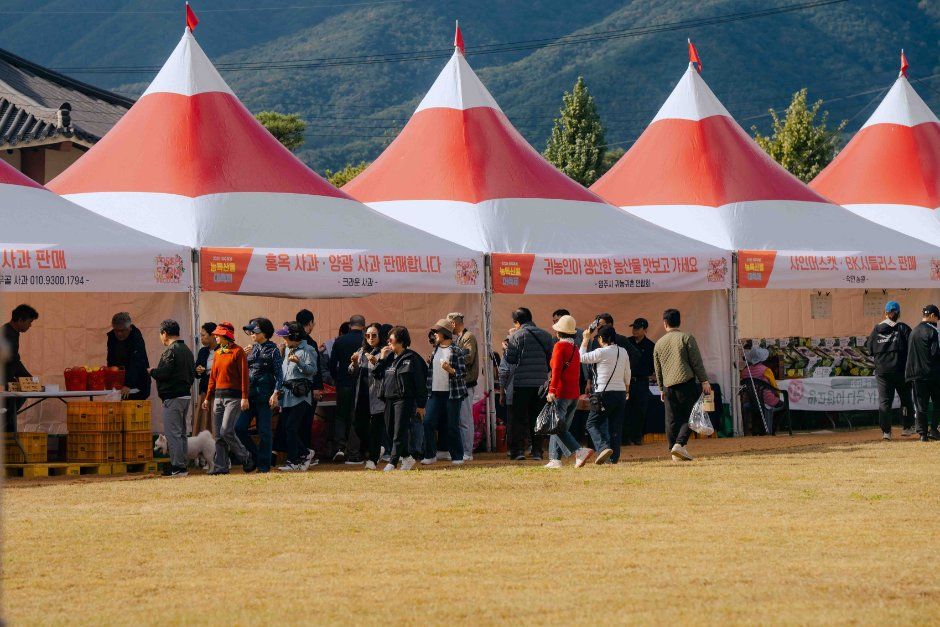 2026 영주사과축제, 부석사 인근 미로공원서 10월 30일 개막